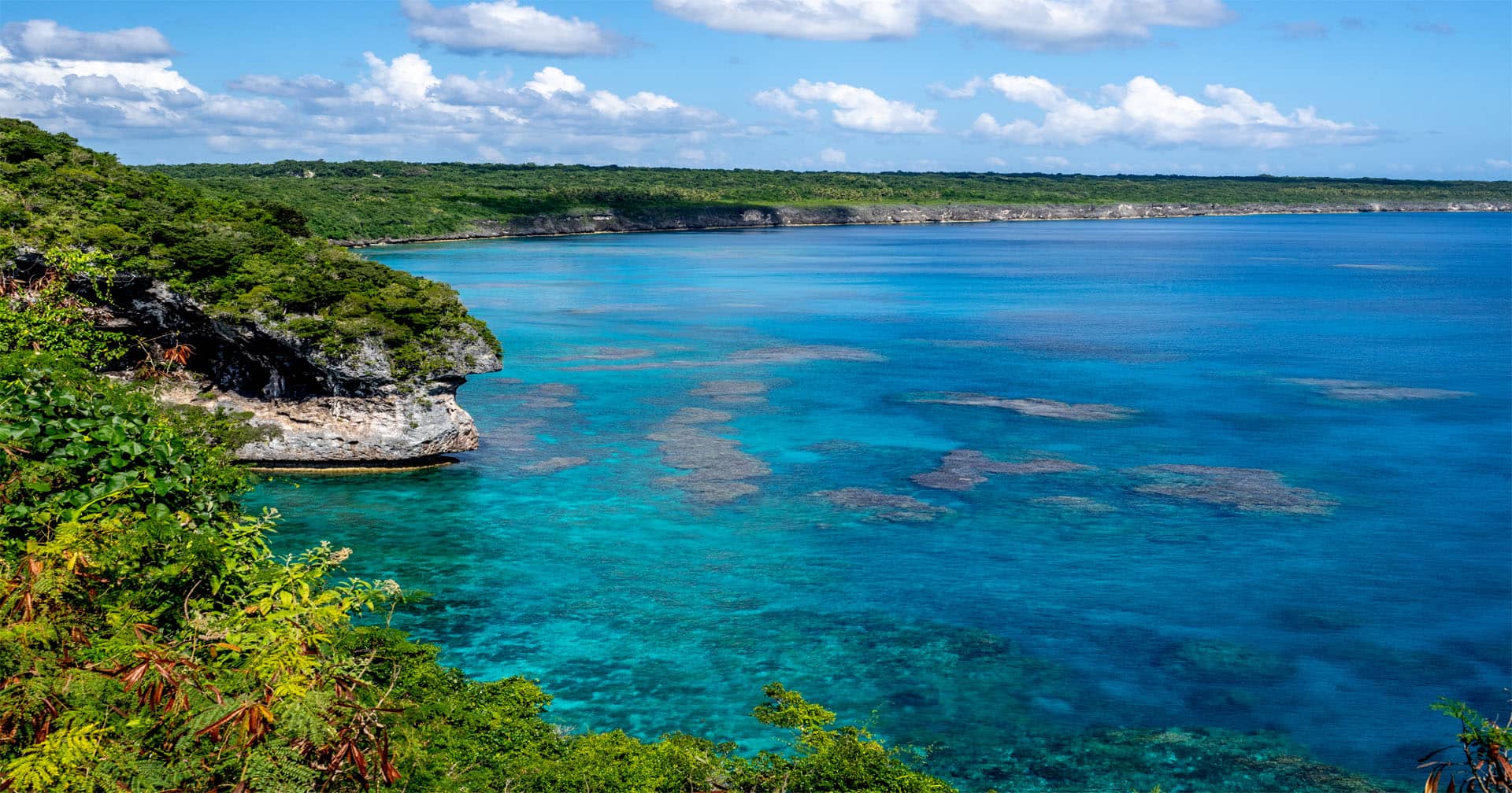 Tropical Forest Walk & Secret Grotto