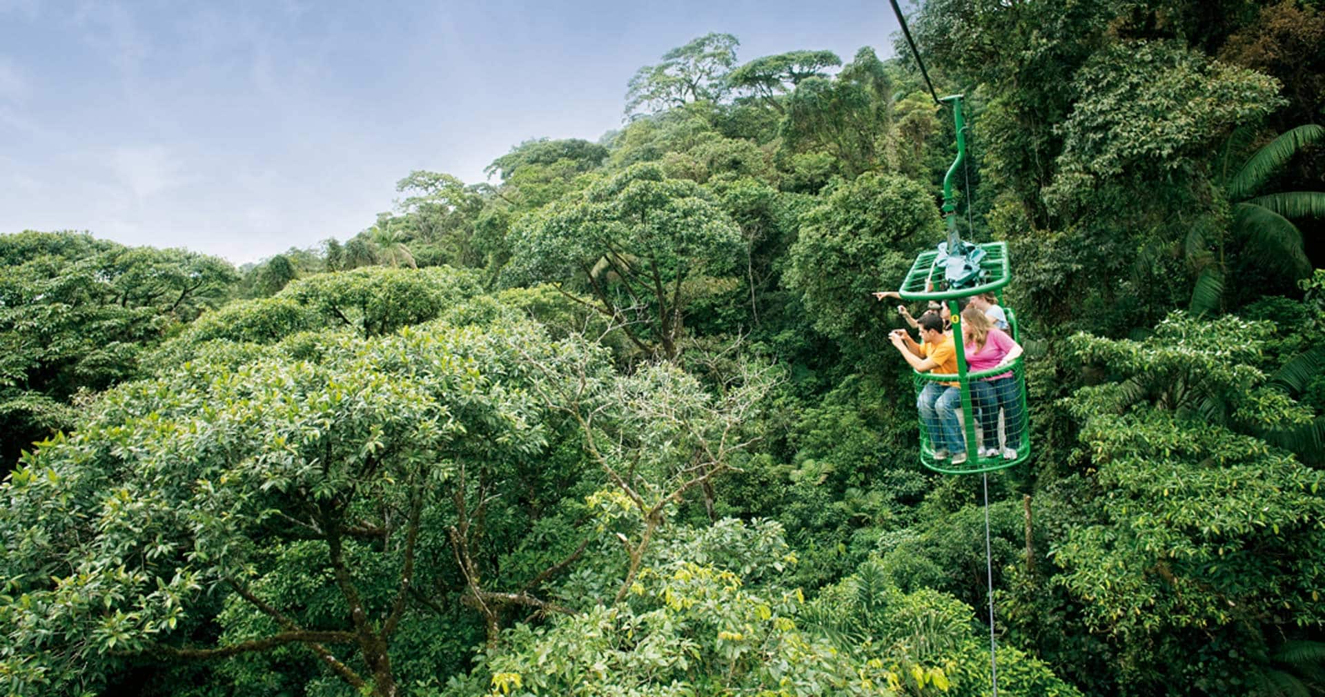 Aerial Tram & Rainforest Adventure