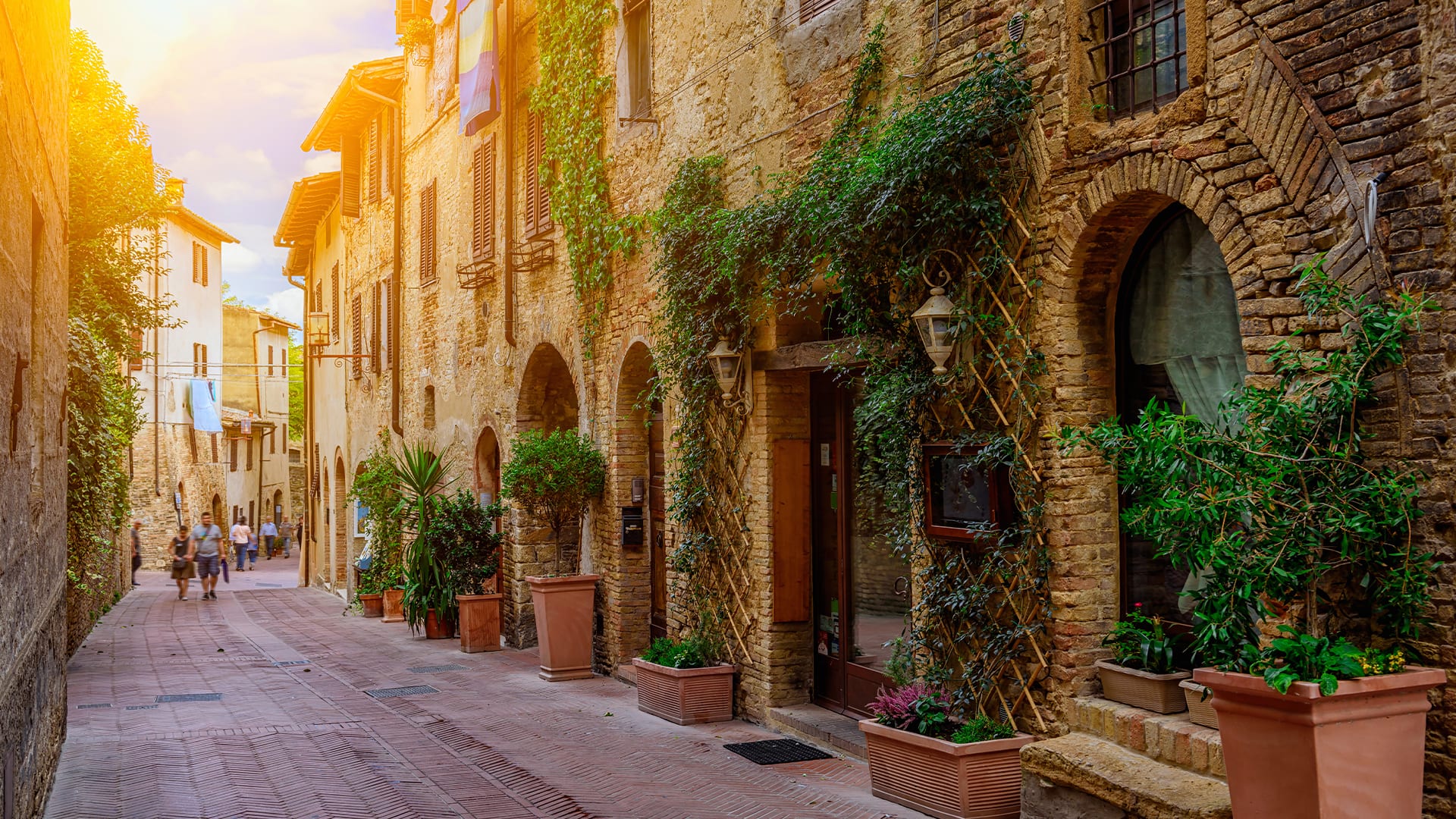 Chianti y San Gimignano Gourmet