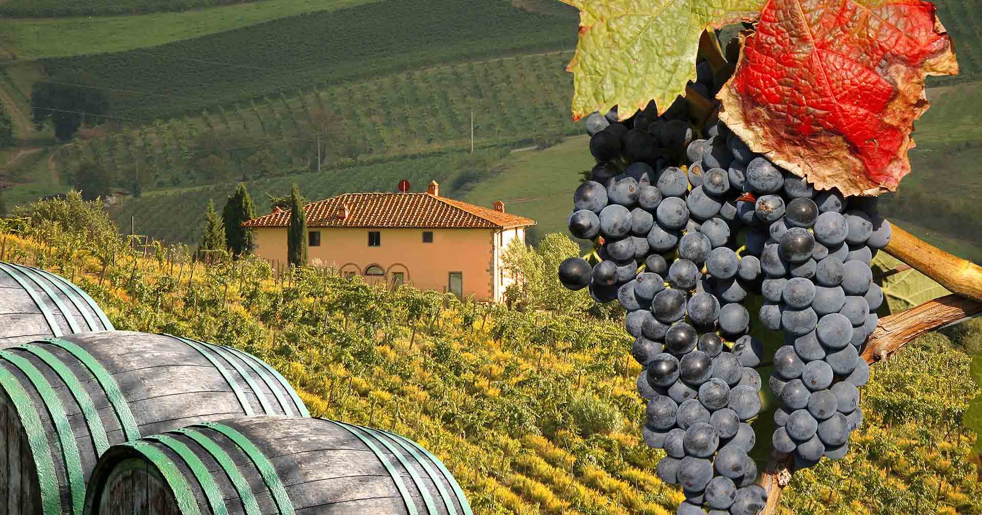 Florence/Pisa (Livorno), Italy Pisa & A Taste Of Tuscany Excursion