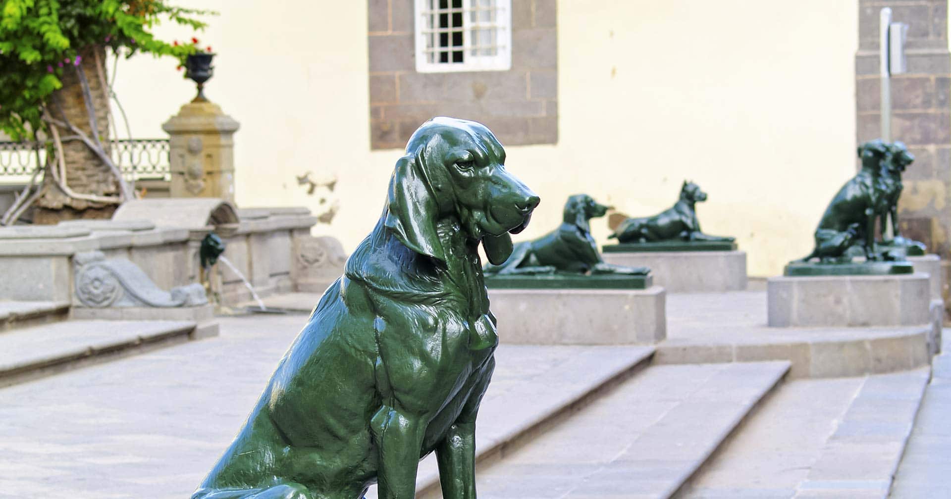 Las Palmas, Views & Botanical Gardens  