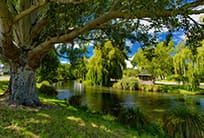 Sauces junto al río Avon en Christchurch, Nueva Zelanda