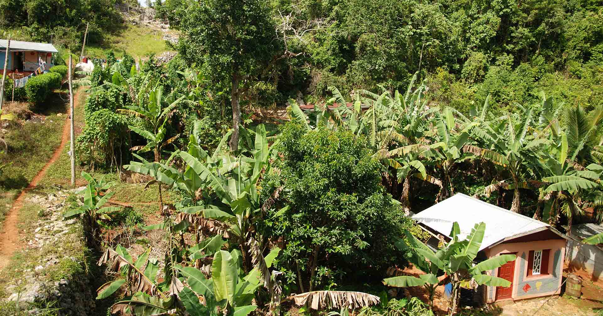 アップルトンエステート ラムツアー