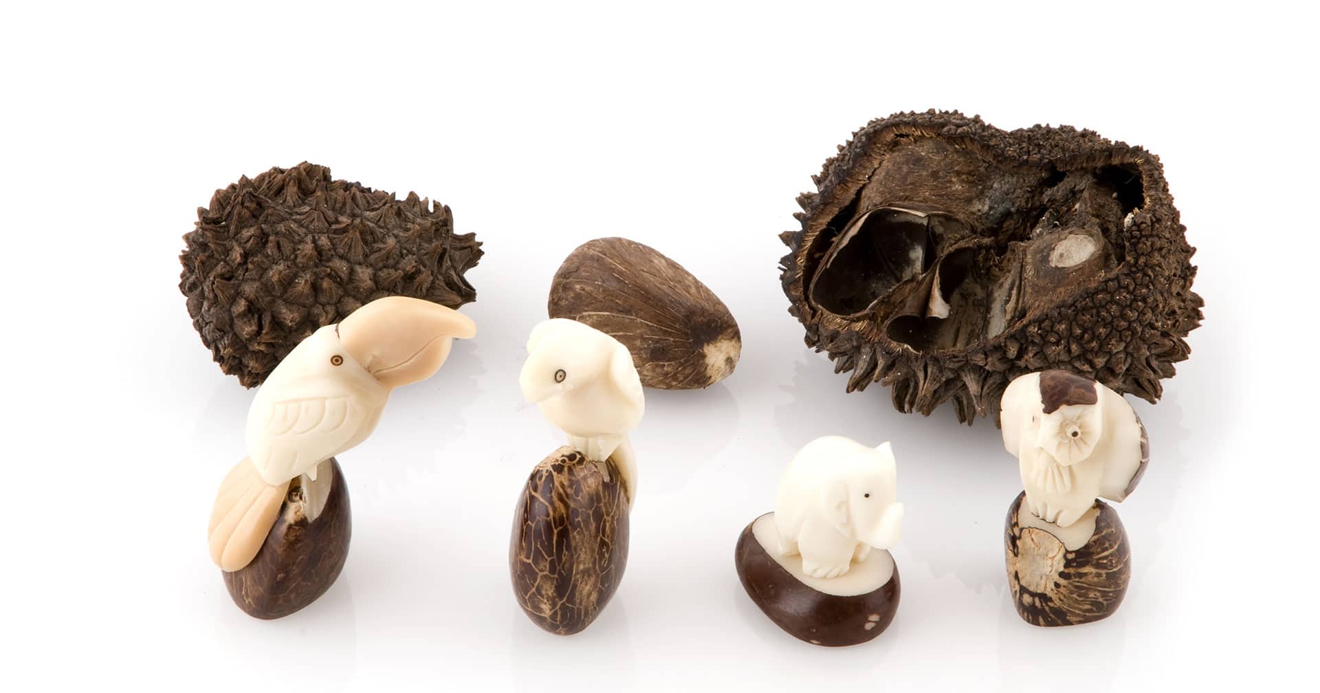 Pacoche Handicraft Wildlife Refuge 