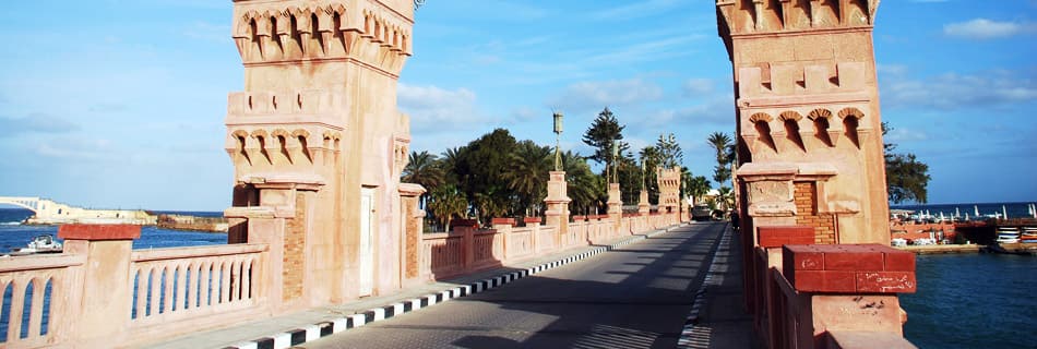 /sites/default/files/MI.NB-Alexandria-royal-park-bridge.jpg