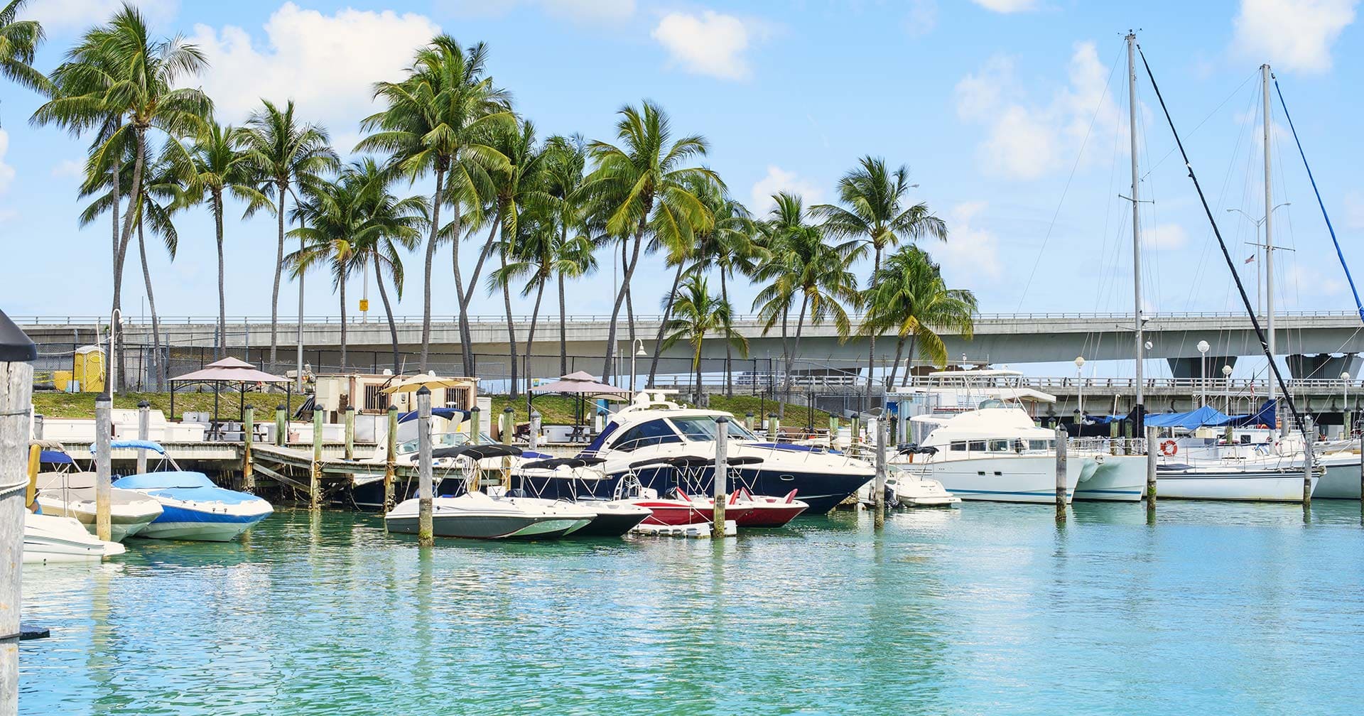 マイアミ 乗り降り自由バスツアー - マイアミ空港終点 