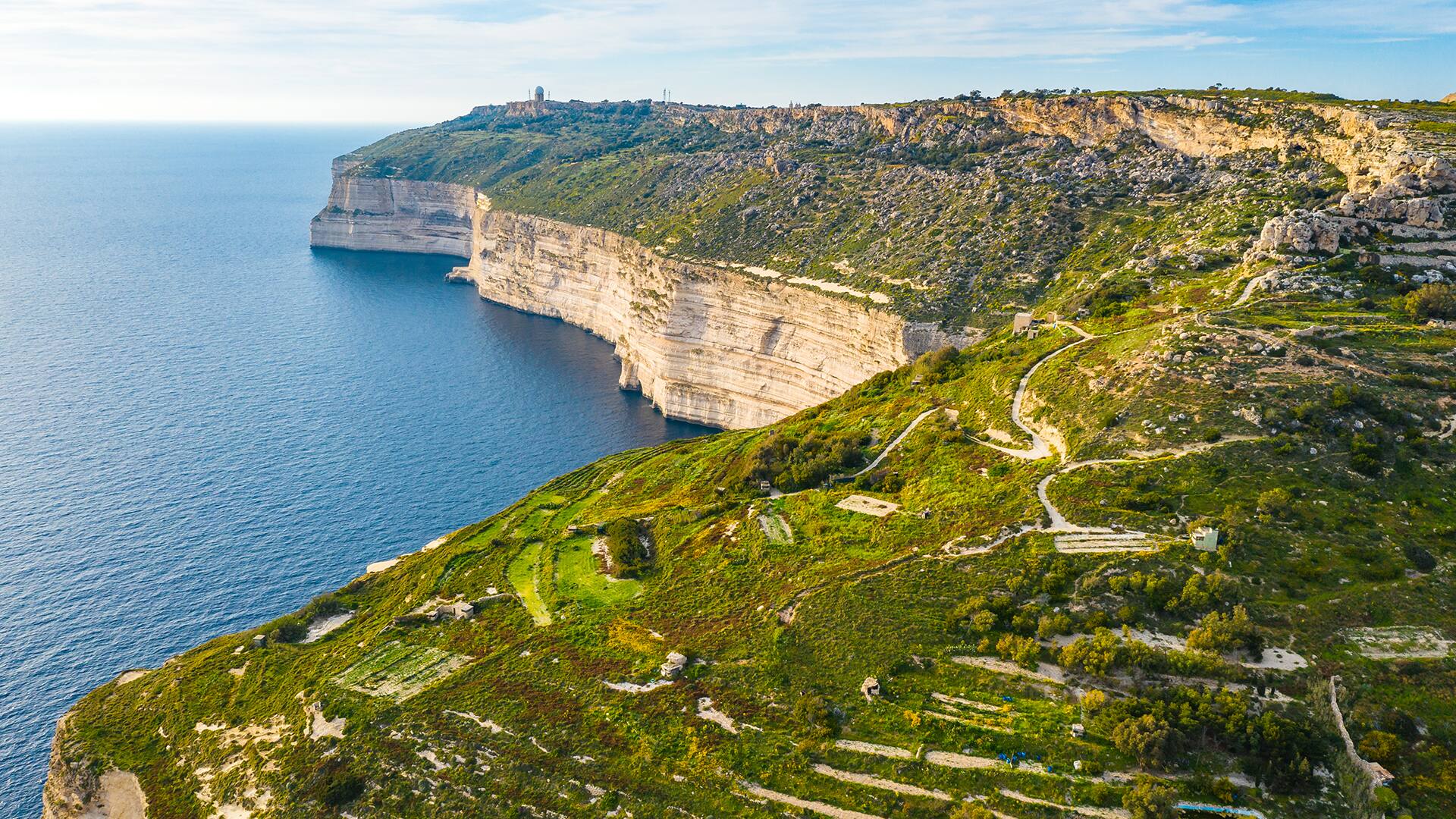 Valletta Malta Go Green Melita s Flora And Fauna The Land Of Honey Valletta Malta Go Green Melita s Flora And Fauna The Land Of Honey