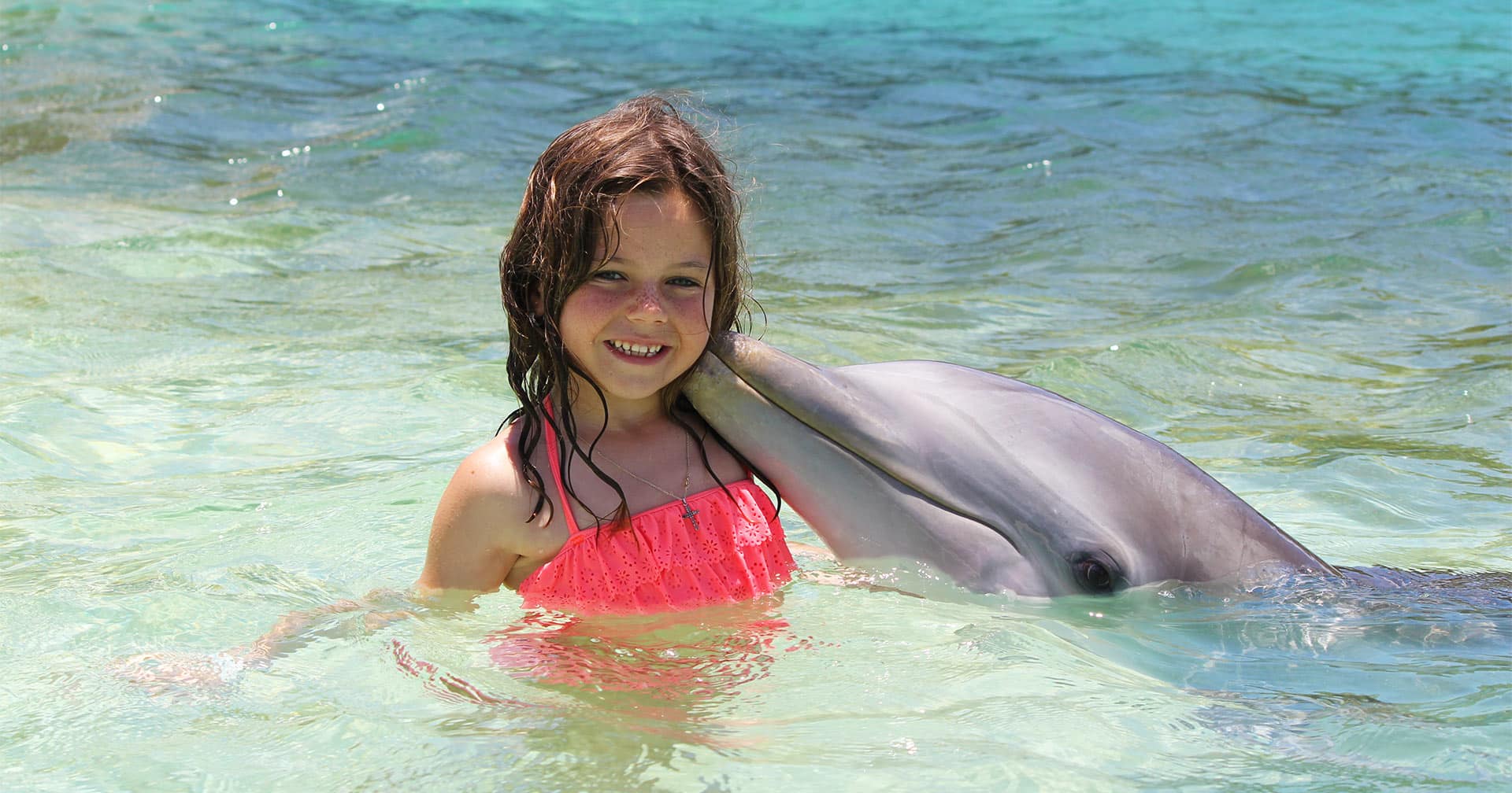 nassau bahamas dolphin excursions
