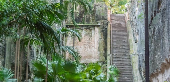 Discover Nassau Town & Atlantis