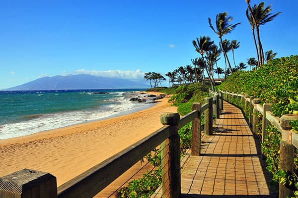 Encantada de conocerte Destello fecha límite Las mejores playas de Hawái | Blog de viajes de NCL