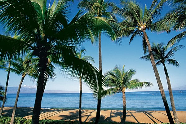 Visita il Centro culturale polinesiano durante la tua crociera alle Hawaii