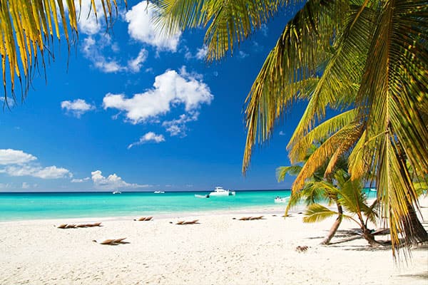 Conhecendo a ilha: 6 coisas para fazer na Ilha Grande Bahama