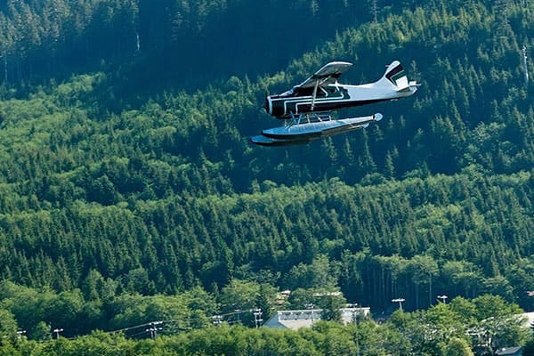 Must Try Activities on Your Ketchikan Cruise