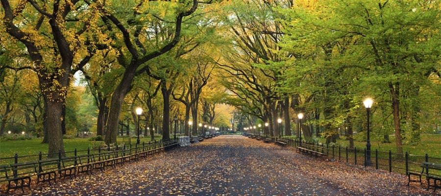 Naviguez vers New York, pour ensuite vous promener à Central Park.