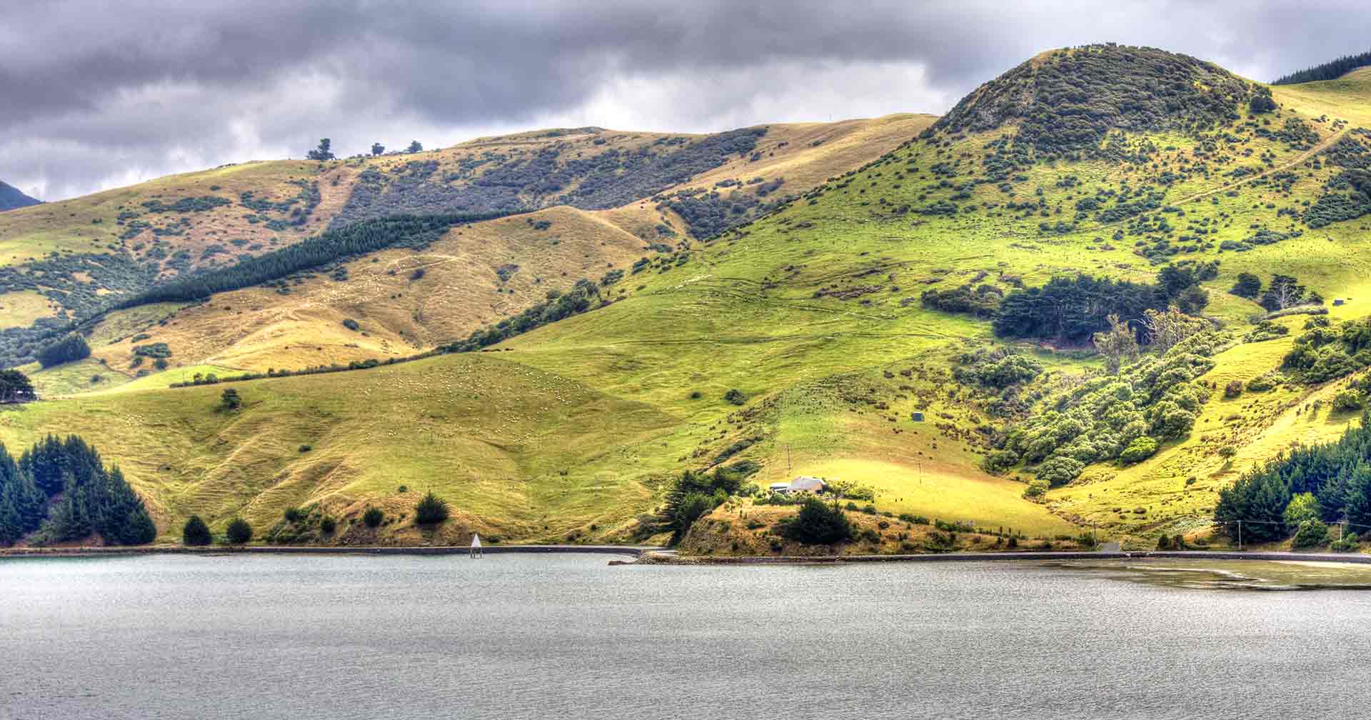 オタゴ港 ワイルドライフクルーズ