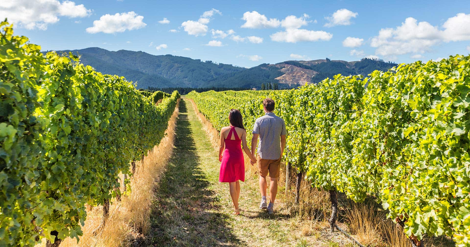 Iconic Wines Of The Marlborough