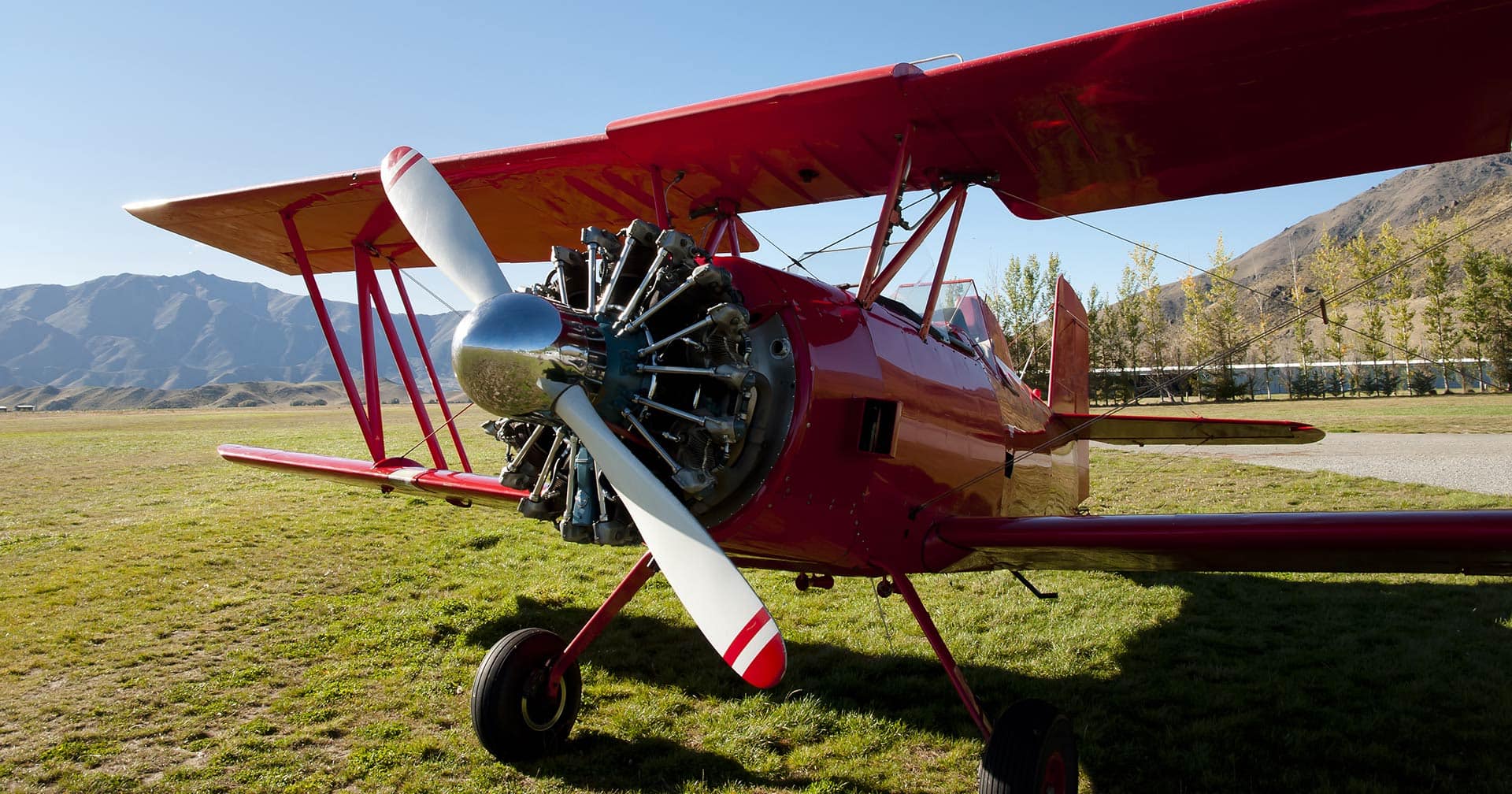 Marlborough Memories