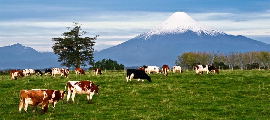 クルーズで見るオソルノ火山