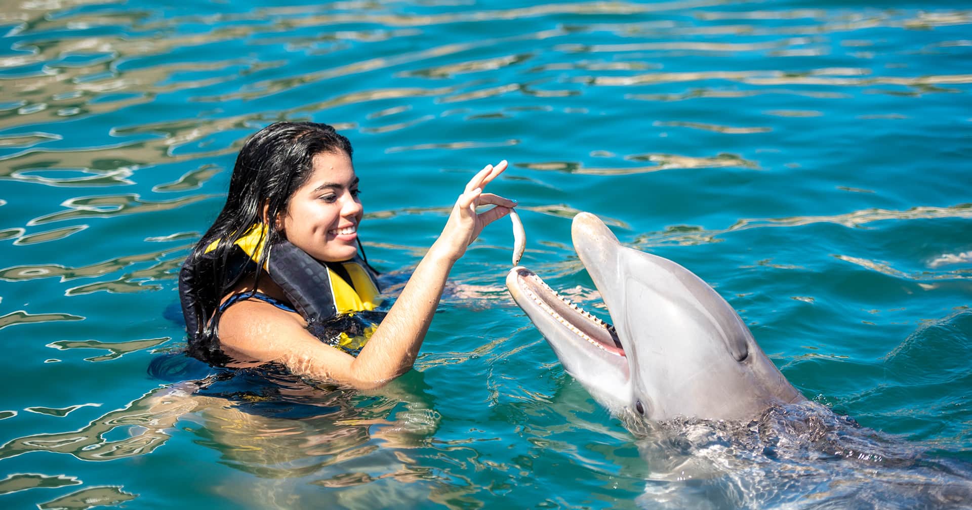 Puerto Plata, Dominican Republic Dolphin Swim & Ocean World Adventure