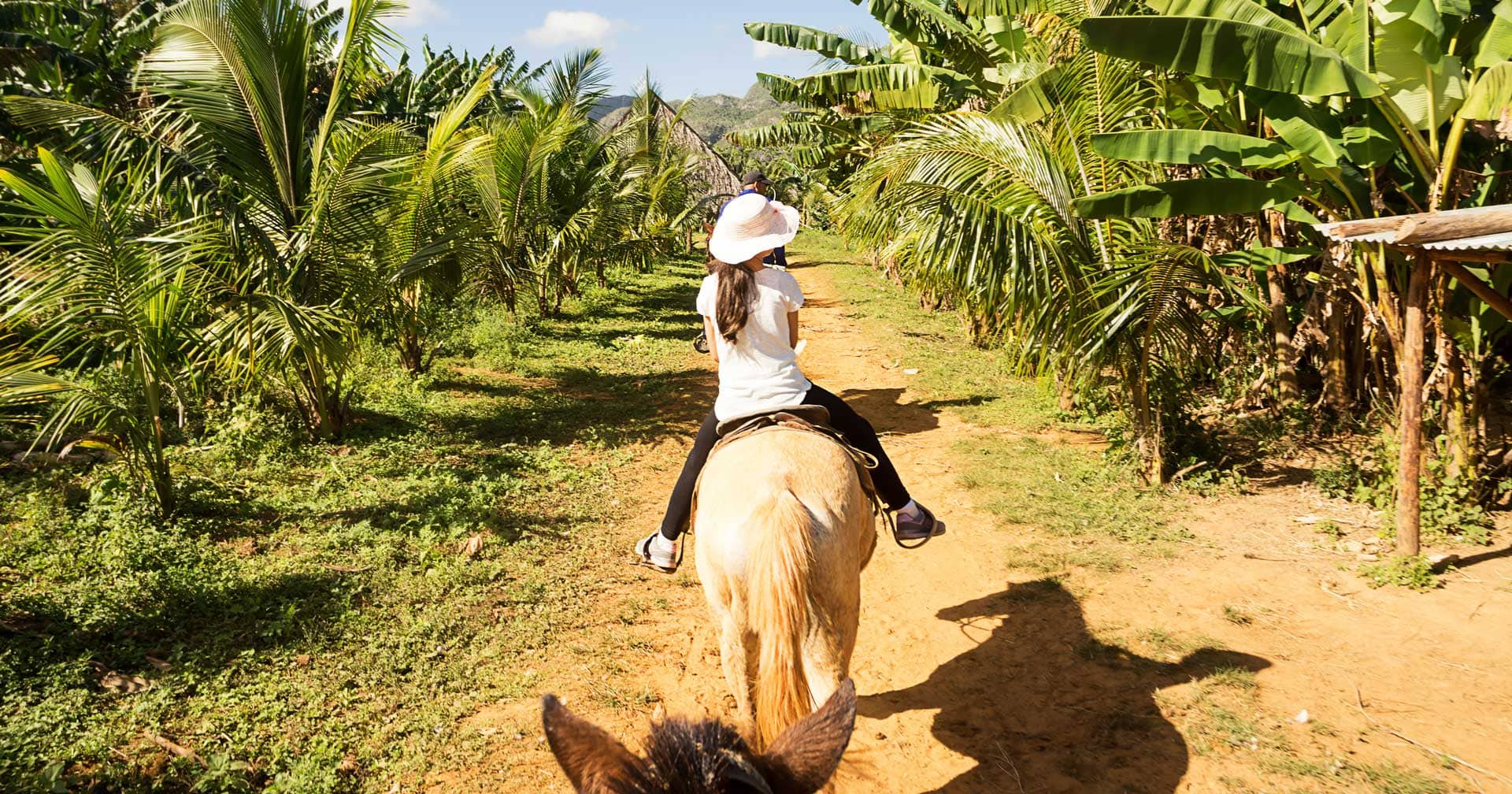 Horseback, Buggies & Beach Escape 