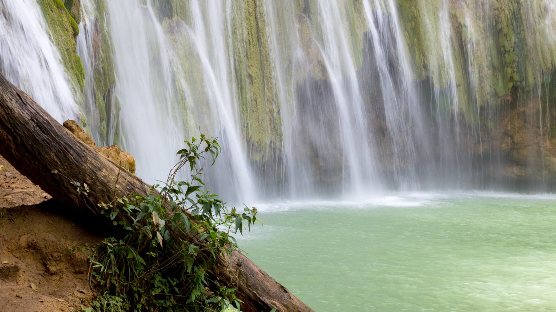 damajagua waterfalls shore excursion