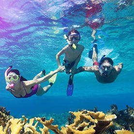 Goditi una crociera ai Caraibi meridionali con la tua famiglia sulla compagnia di crociere leader nei Caraibi.