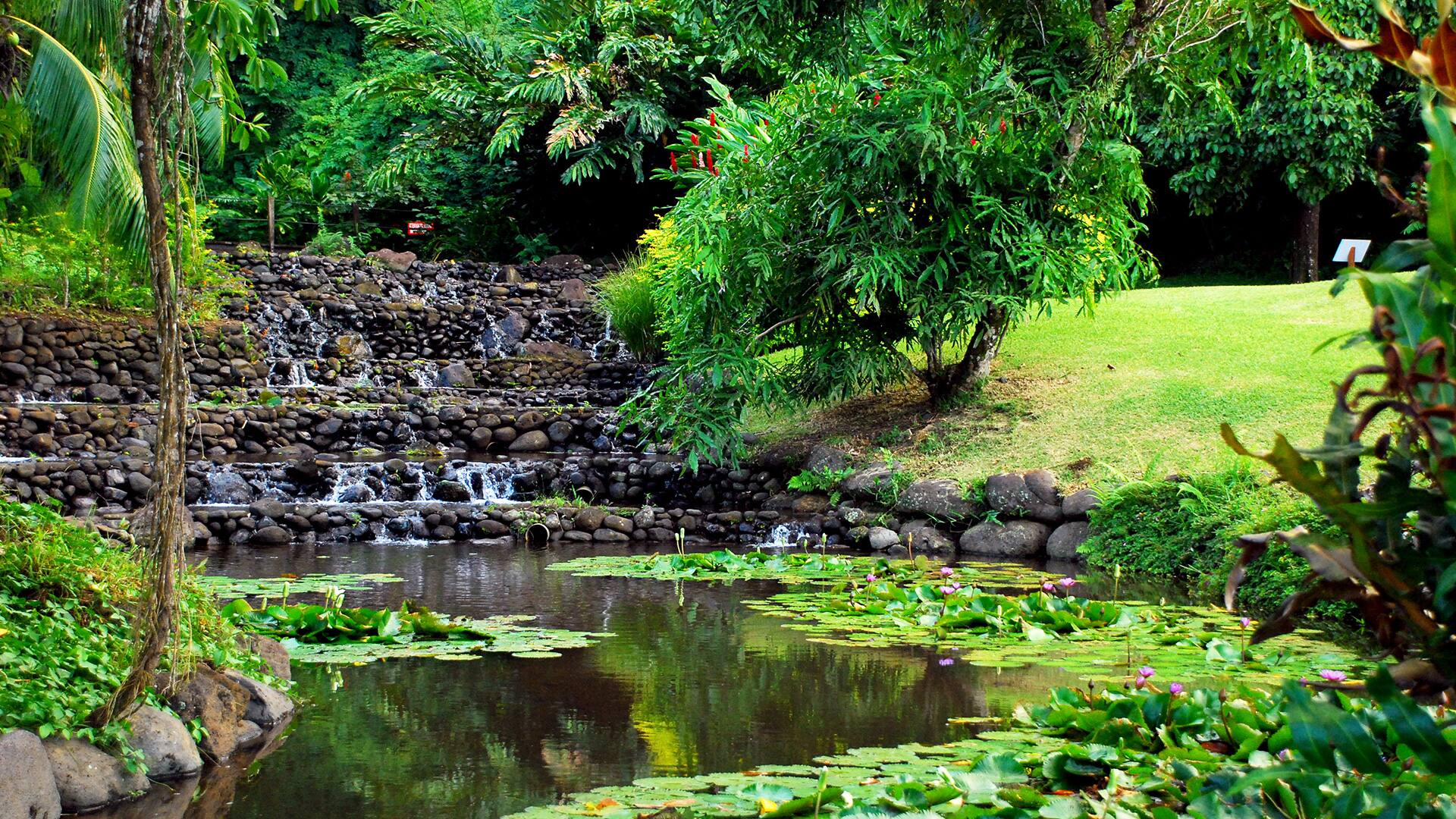 Papeete (Tahiti), French Polynesia Discover Tahiti's West Coast (Debark