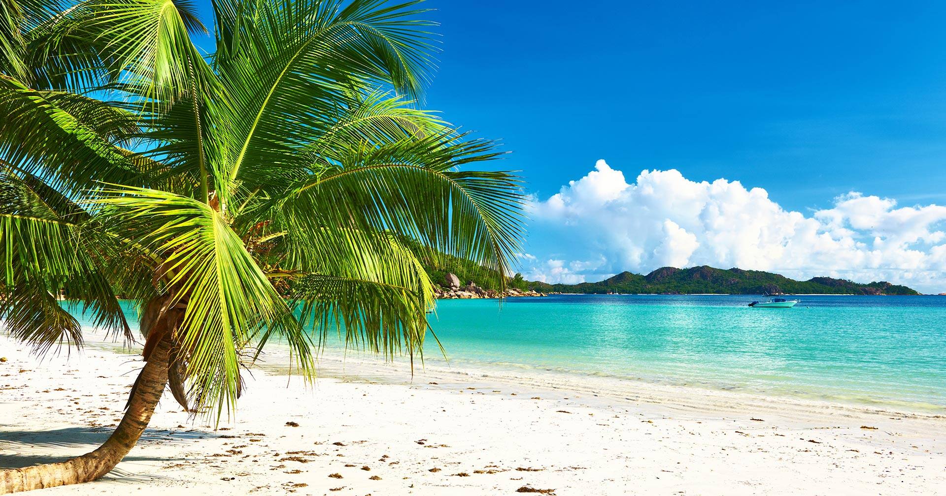 Praslin, Seychelles Cote d'Or Beach Transfer Excursion Norwegian
