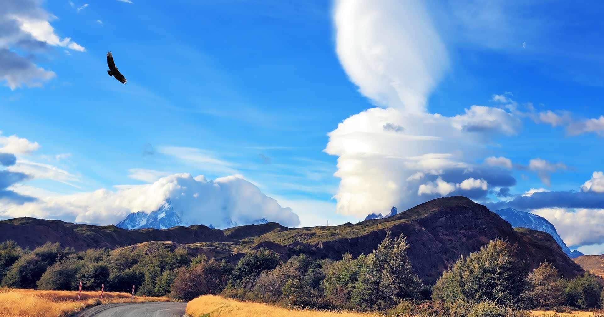 Patagonian Estancia Experience 