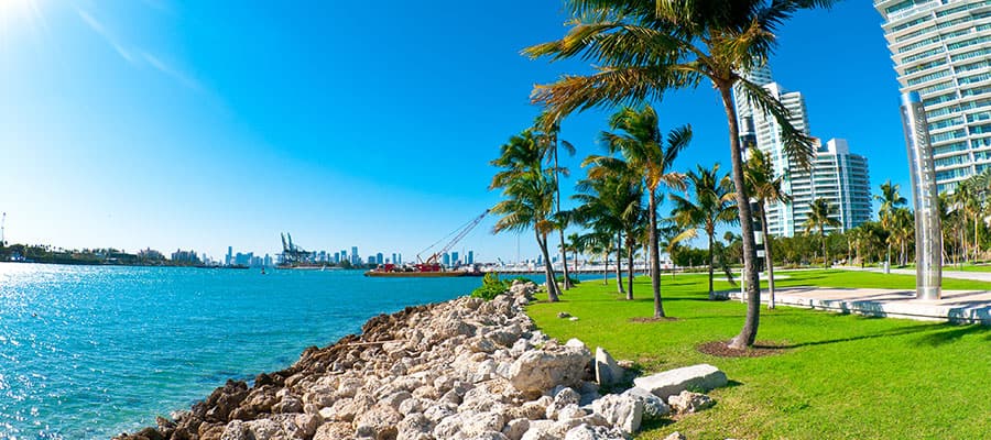 Bellos días en tu crucero por Miami