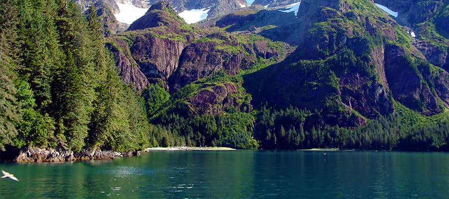 Baie de la Résurrection lors de votre croisière en Alaska