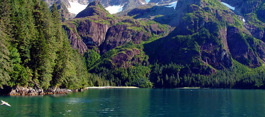 Resurrection Bay auf Ihrer Alaskakreuzfahrt