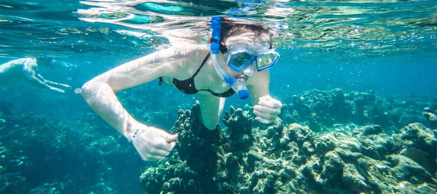 Navegue pelo Caribe e mergulhe de snorkel em Roatán