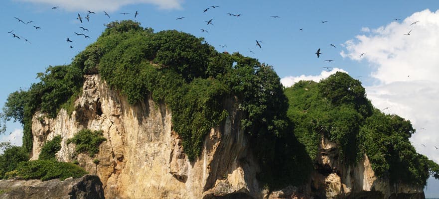/sites/default/files/SAM_01_CavesMangrovesExploration_0.jpg