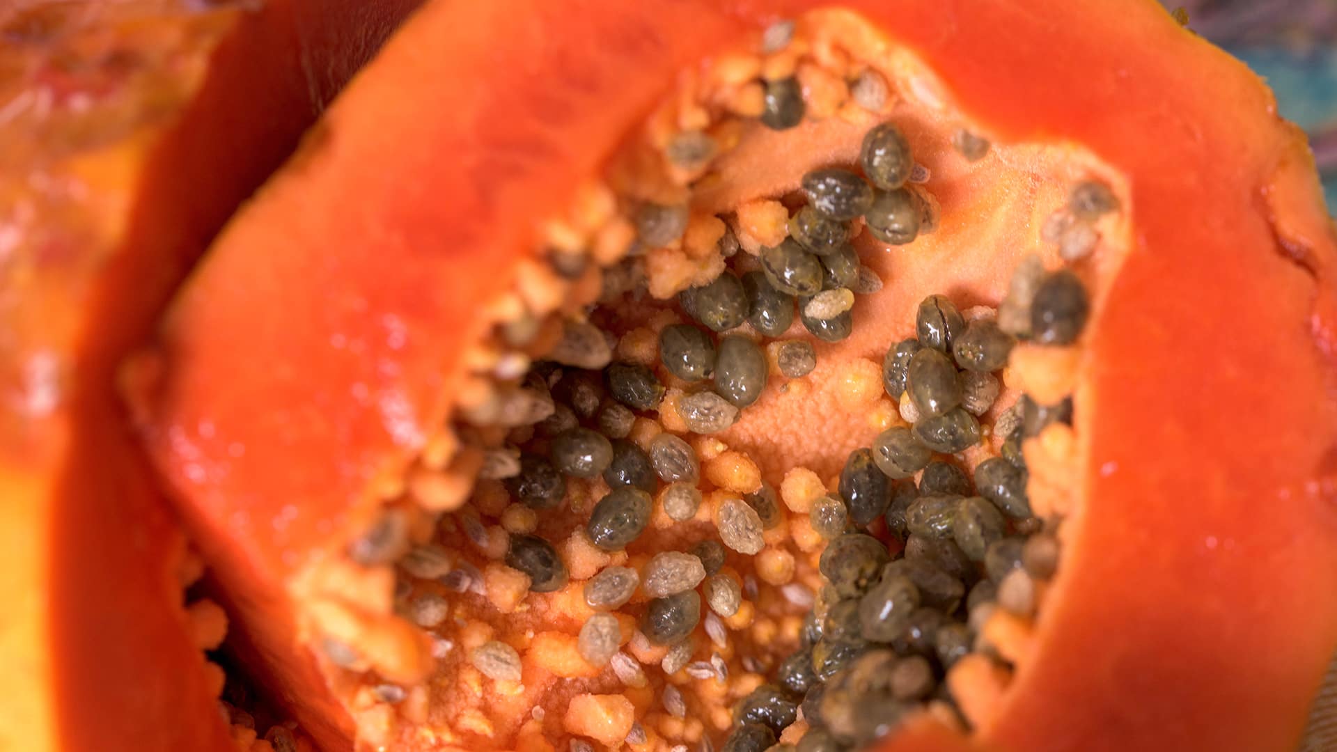 Go Green-The Journey To Sustainability