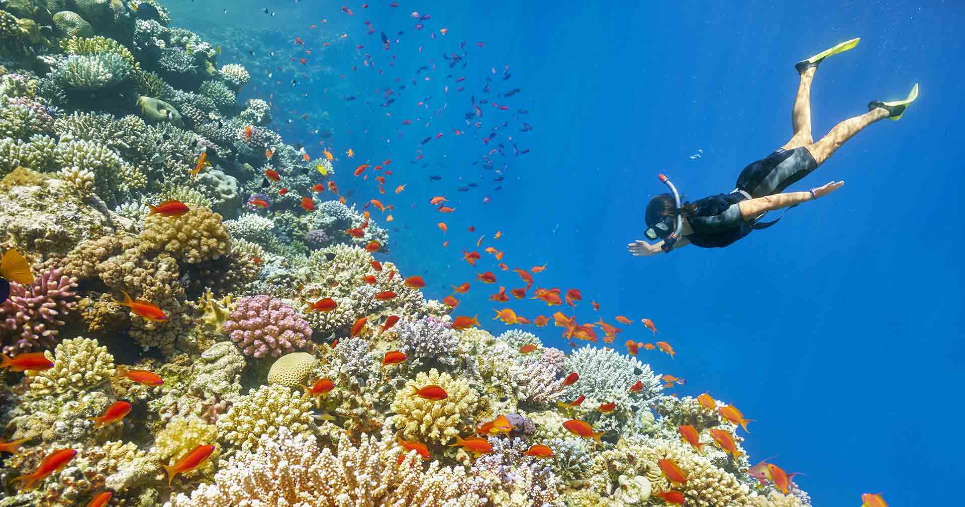 Safaga, Egypt Snorkeling in the Red Sea Excursion Norwegian Cruise