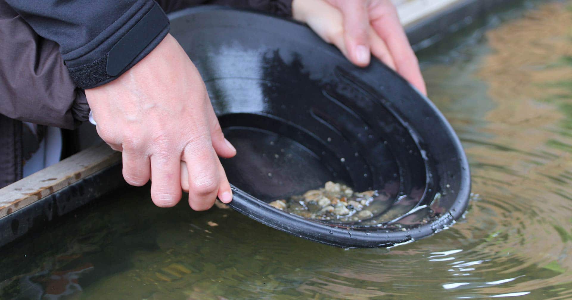 Skagway, Alaska Historical City, Gold Camp & Salmon Bake Excursion