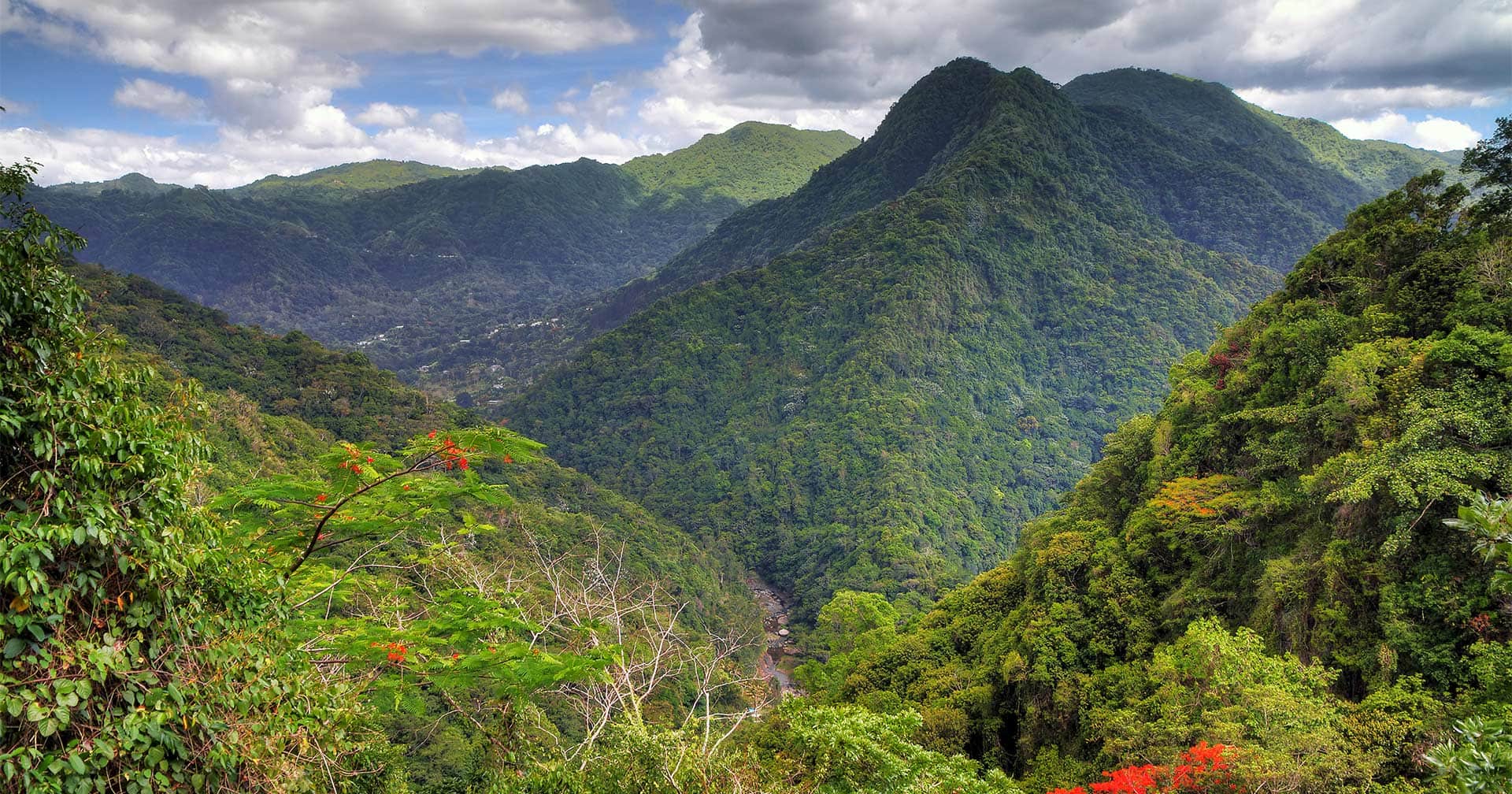 San Juan Puerto Rico El Yunque - SJU 52 AerialView 1920x1008 