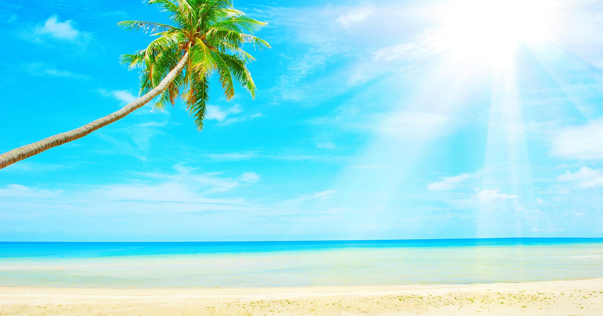 Resort Beach Day, Scenic Drive & Lunch