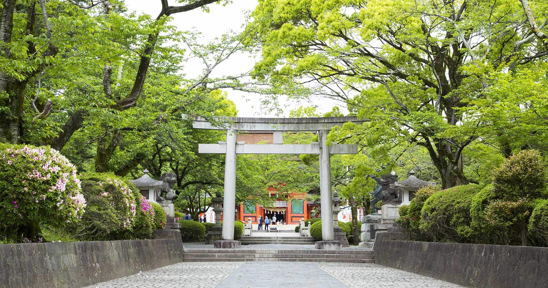Mount Fuji Views & Shrine