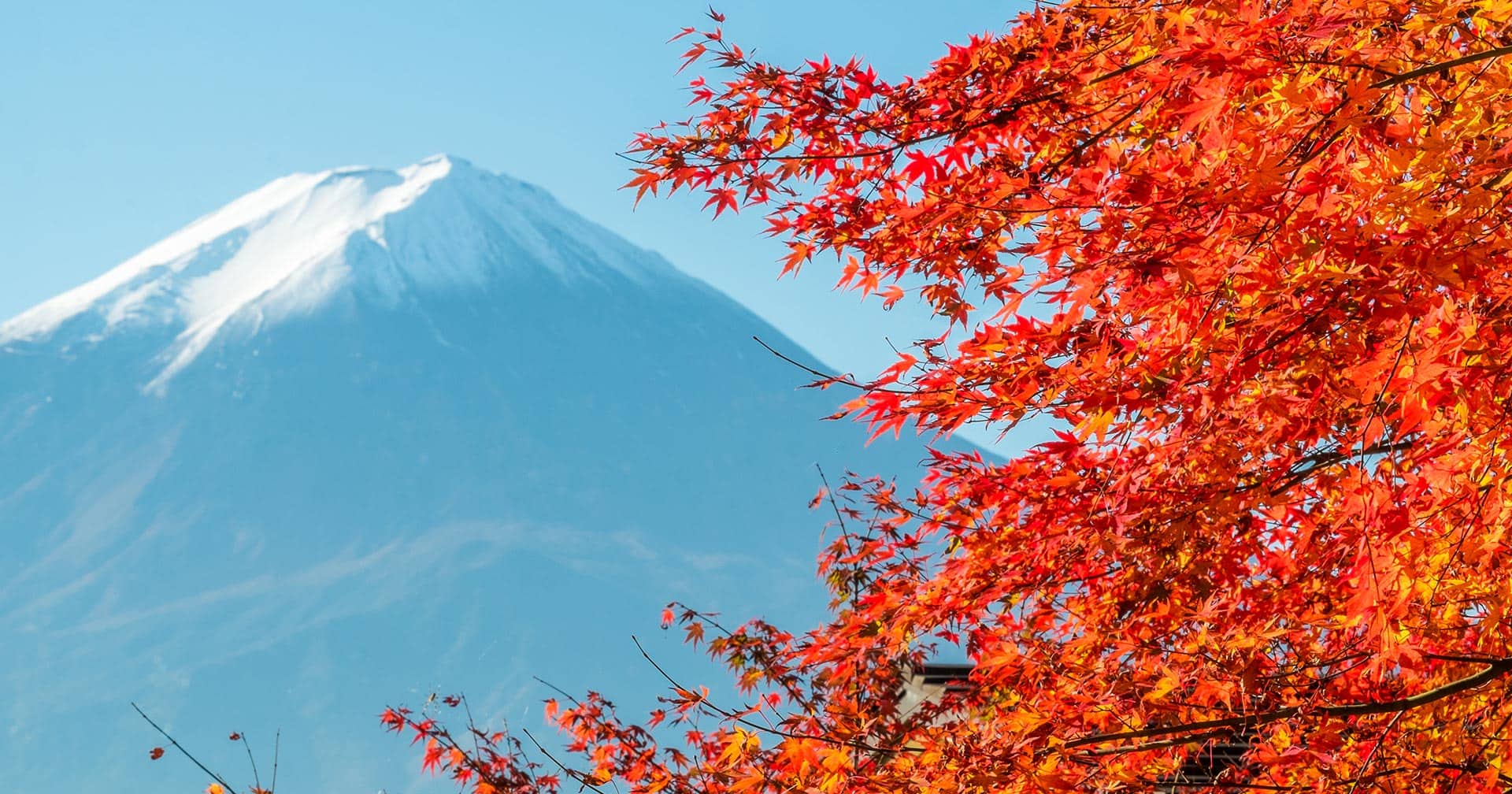 日本酒テイスティングと富士山世界遺産センター