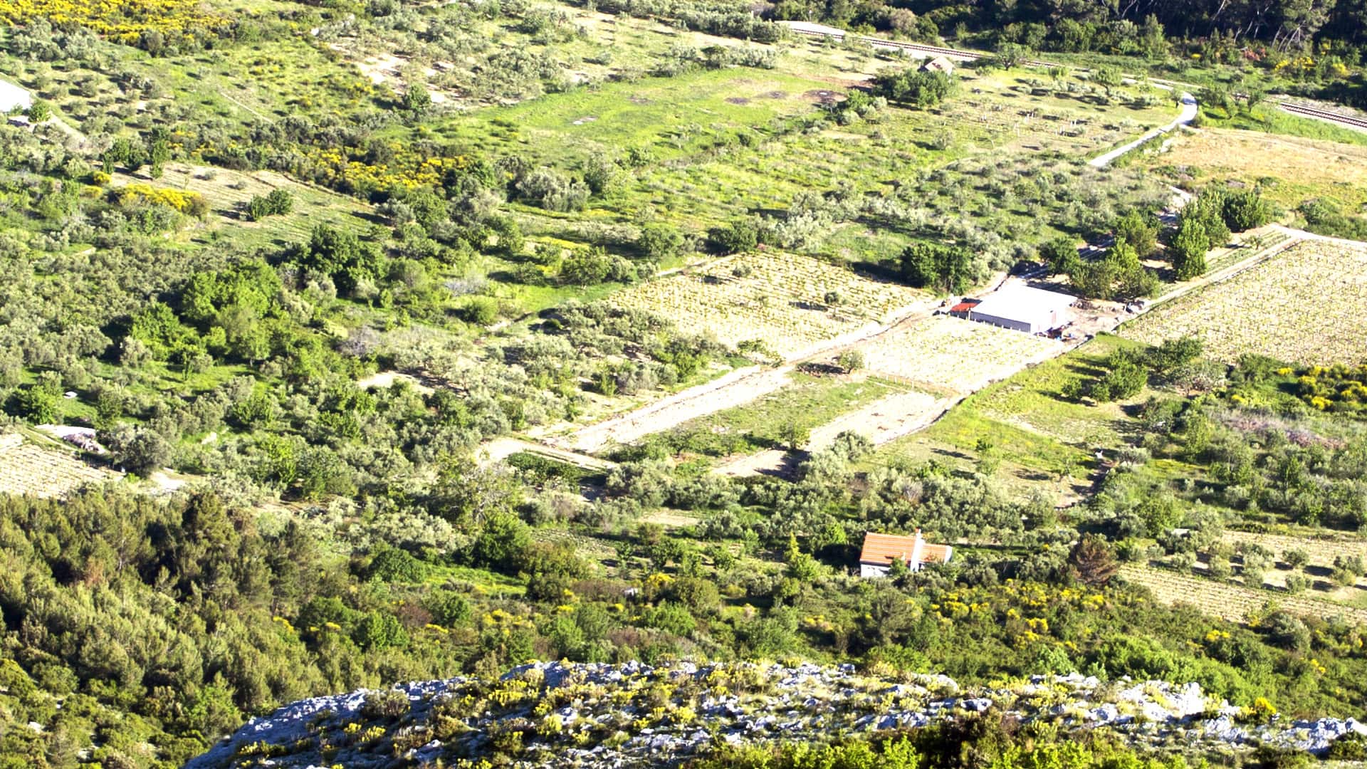 A Taste of Stella Croatia 