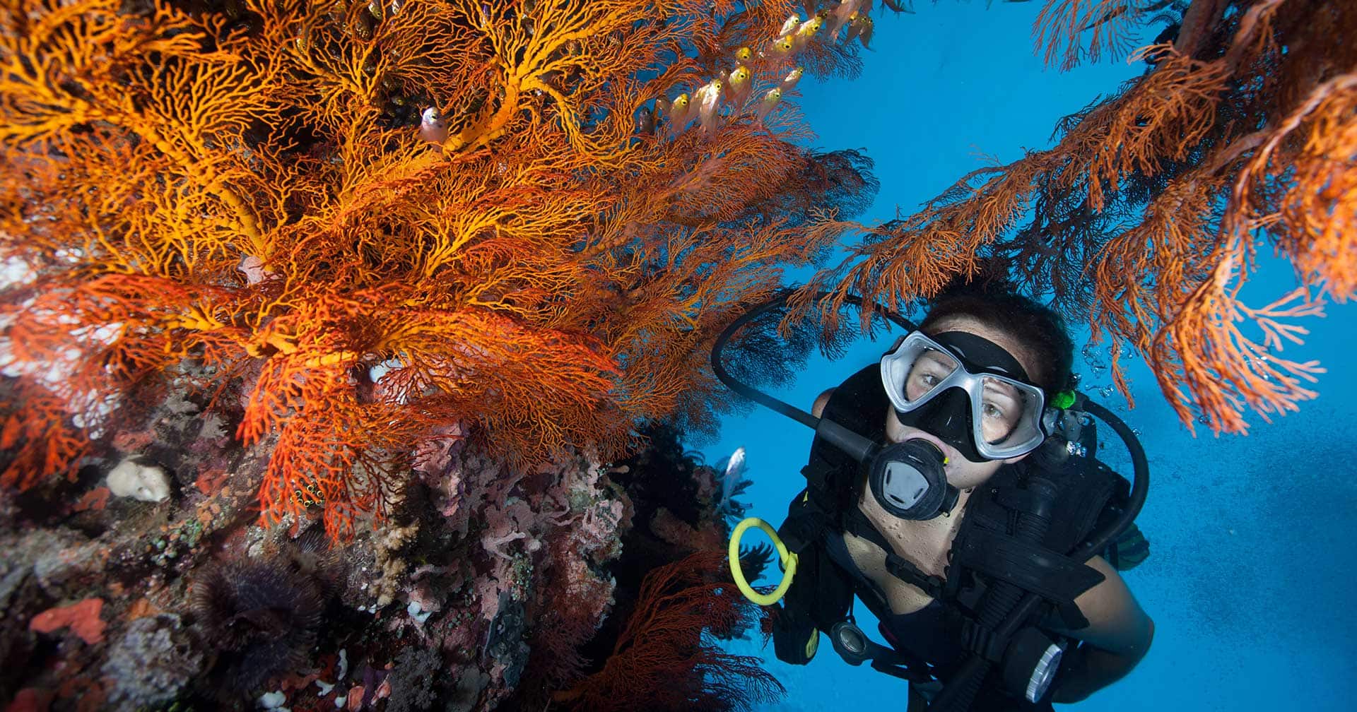 St. Croix, U.S. Virgin Islands Frederiksted 2 Tank Wreck Dive Excursion