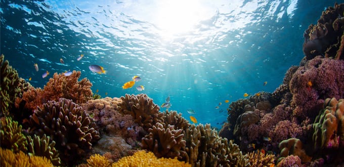 Conservación y gestión del agua