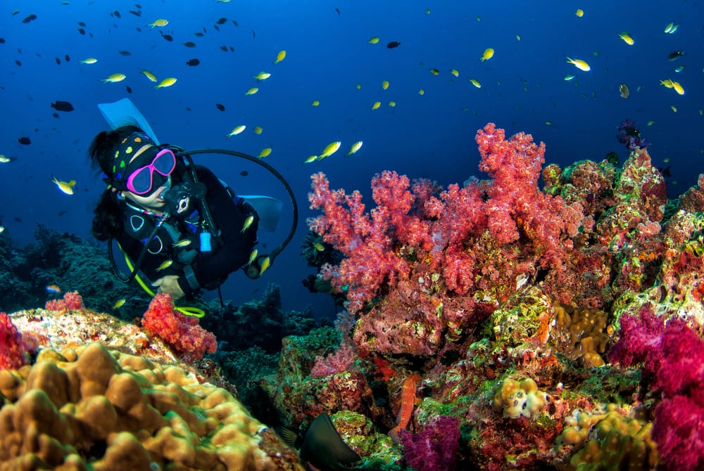 Scuba Diving in Costa Maya with Norwegian