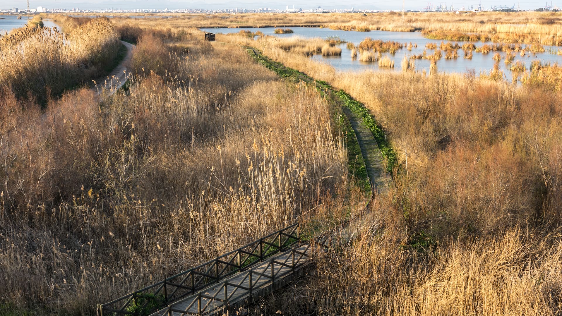 Go Green-Ecosystem Recovery At Albufera Natural Park