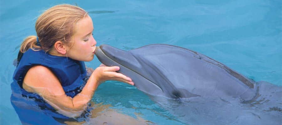 Dolphin kisses at the Sea Aquarium in Willemstad