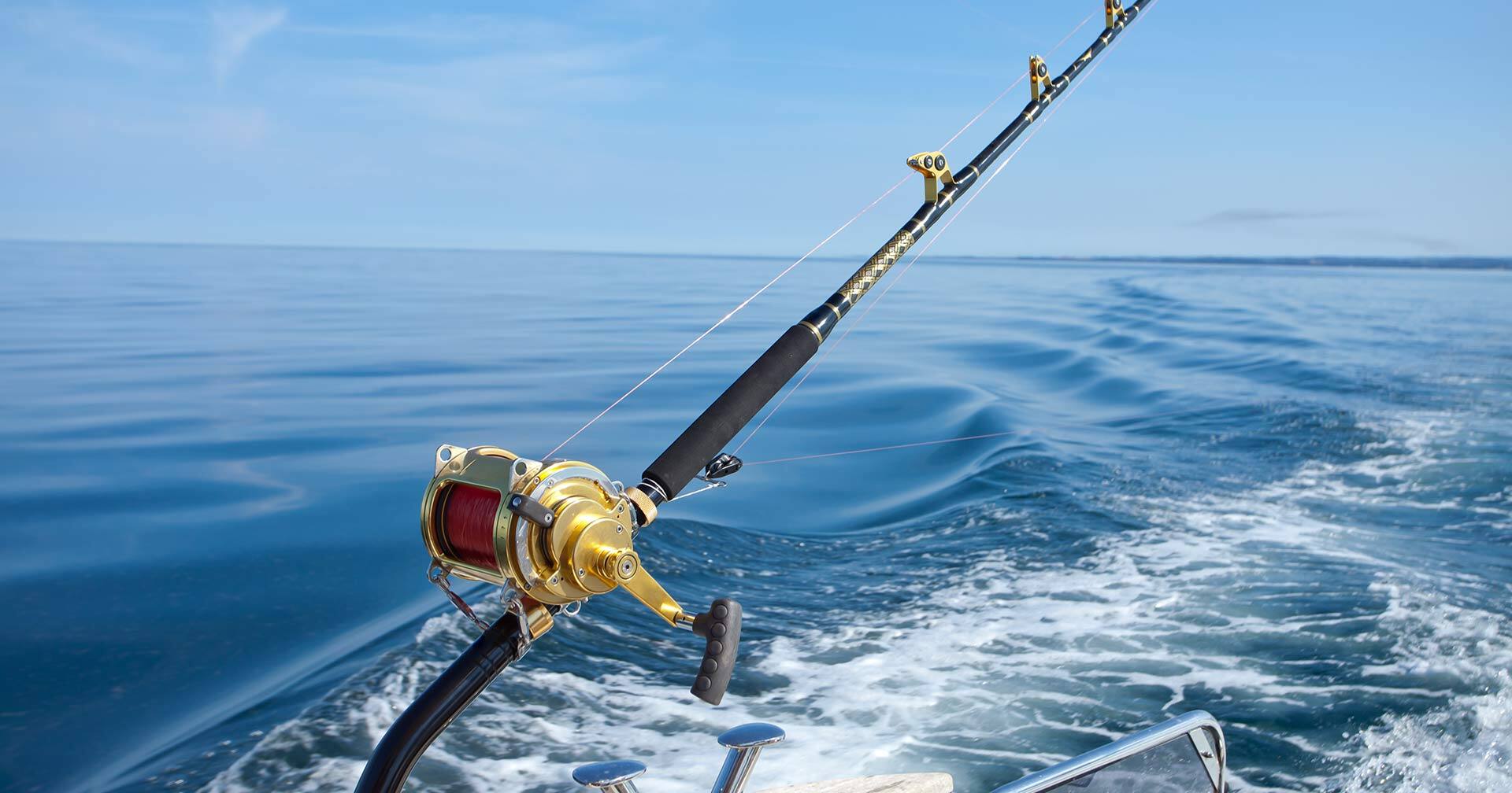 Zihuatanejo Ixtapa, Mexico Deep Sea Fishing Excursion Norwegian