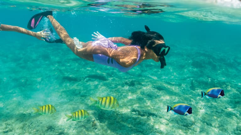 US$ 50 em Créditos de Excursão em Terra