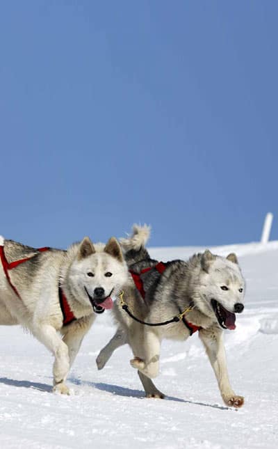 ALASKA